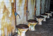 Ел боламын десең — автотұрақ пен әжетханаңды түзе!